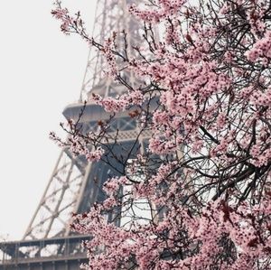 Meet your Posher, Paola